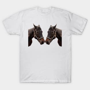 The head of a horse, two horses T-Shirt